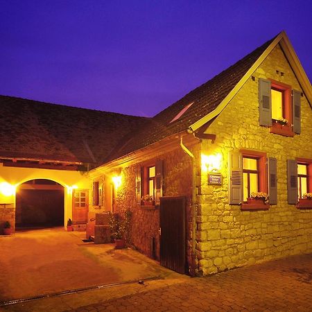 Отель Gastehaus Reiser Майнц Экстерьер фото